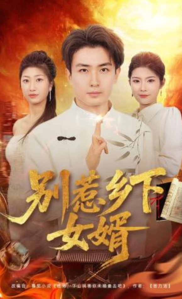 年度排行第六名作品海报